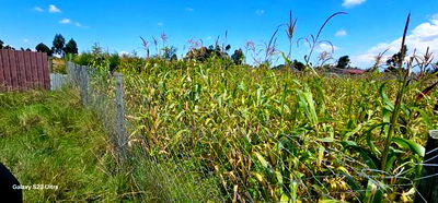 Prime Plot for Sale in Kuinet Eldoret - Image 1