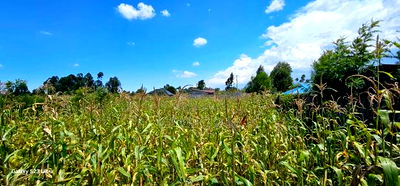 Prime Plot for Sale in Kuinet Eldoret - Image 2
