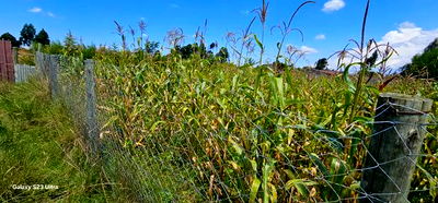 Prime Plot for Sale in Kuinet Eldoret - Image 5