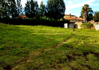 1 Acre Ngong Land at KSh 22M