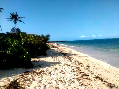 2.7 Acre Sandy Beach Plot for Sale in Kikambala (Ls193 ) - Image 2