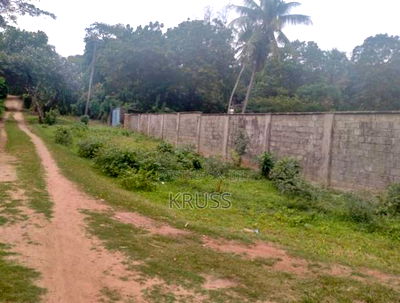 2.7 Acre Sandy Beach Plot for Sale in Kikambala (Ls193 ) - Image 6