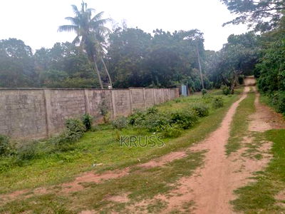 2.7 Acre Sandy Beach Plot for Sale in Kikambala (Ls193 ) - Image 4