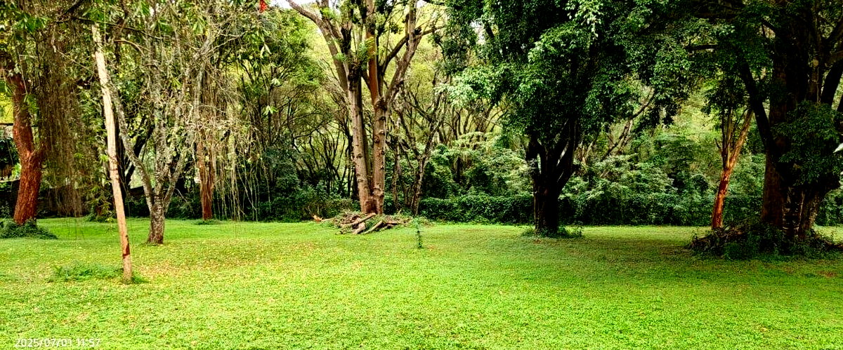 5-Acre Garden Estate with Parking - Nairobi