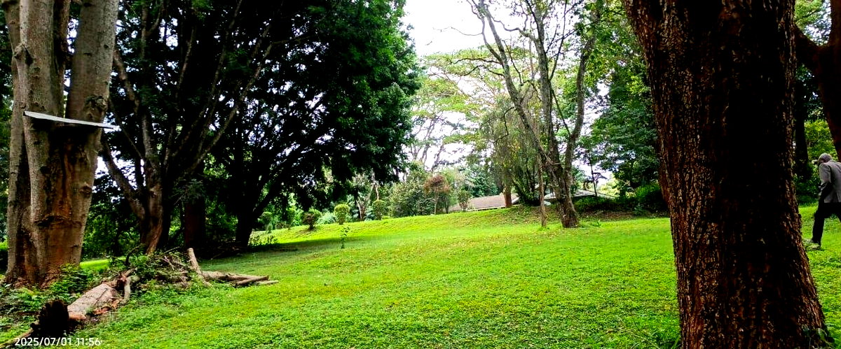5-Acre Garden Estate with Parking - Nairobi