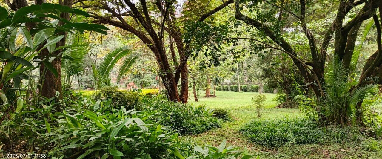 5-Acre Garden Estate with Parking - Nairobi
