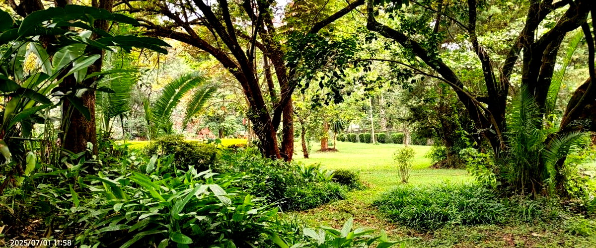 5-Acre Garden Estate with Parking - Nairobi