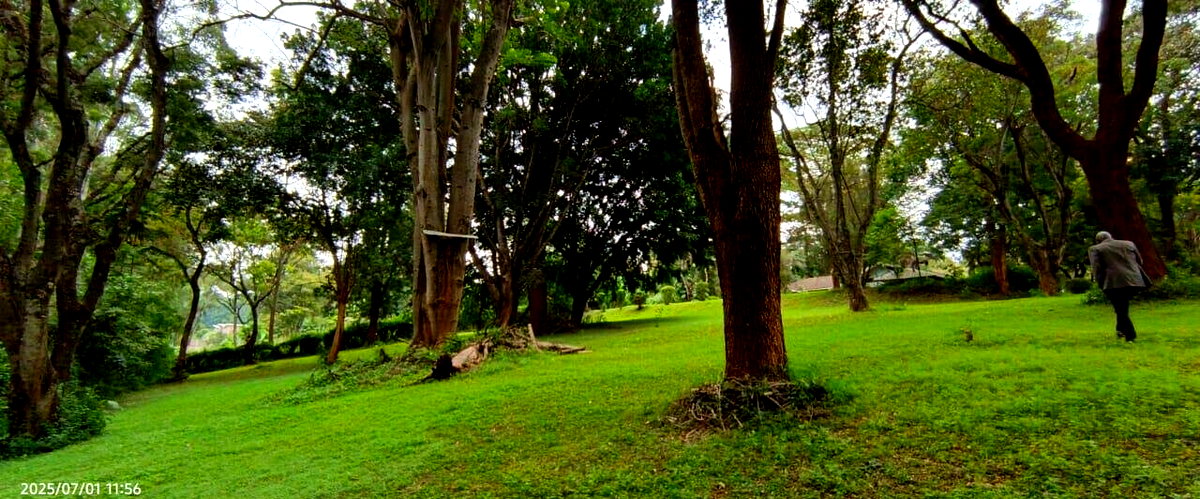 5-Acre Garden Estate with Parking - Nairobi