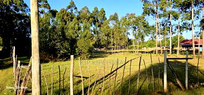 Prime 1/2 Acre Plot For Sale In Kipkorgot Eldoret - Image 1