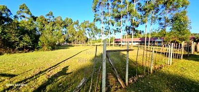 Prime 1/2 Acre Plot For Sale In Kipkorgot Eldoret - Image 4