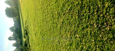 Gem Kilo Shopping Centre - Image 3