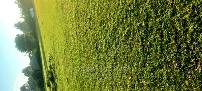 Gem Kilo Shopping Centre - Image 1