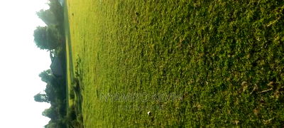 Gem Kilo Shopping Centre - Image 2