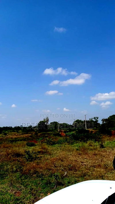 Prime Land on Sale 116 Acres, Kenyatta Road - Image 3