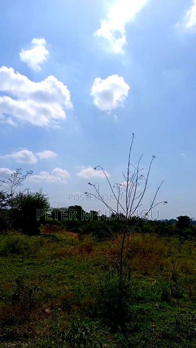 Prime Land on Sale 116 Acres, Kenyatta Road - Image 9