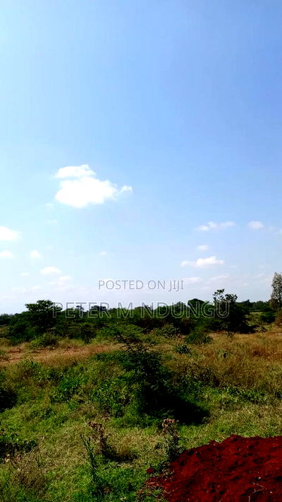 Prime Land on Sale 116 Acres, Kenyatta Road - Image 5