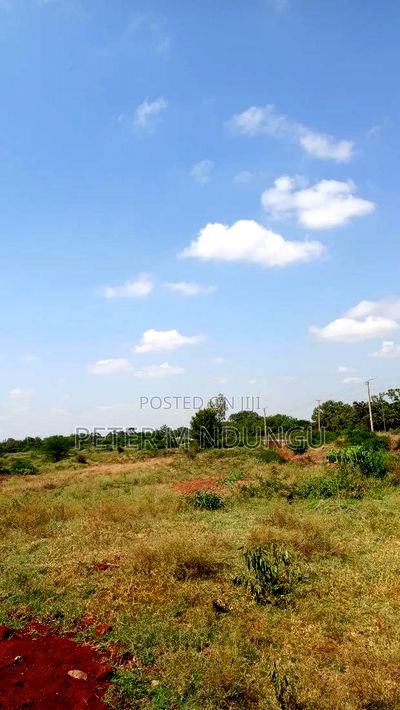 Prime Land on Sale 116 Acres, Kenyatta Road - Image 4