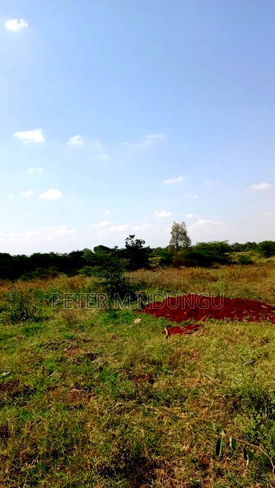 Prime Land on Sale 116 Acres, Kenyatta Road - Image 7