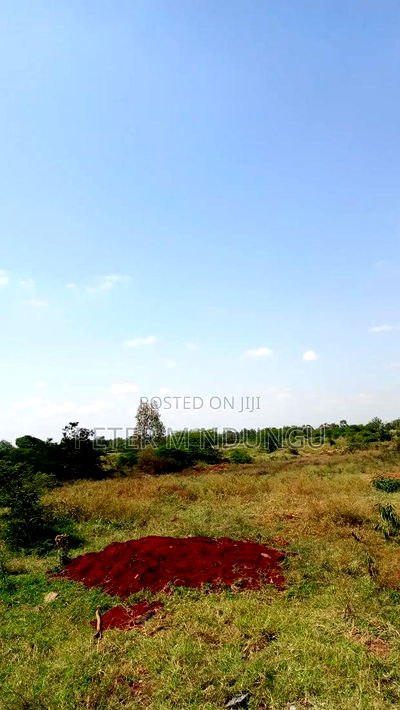 Prime Land on Sale 116 Acres, Kenyatta Road - Image 6