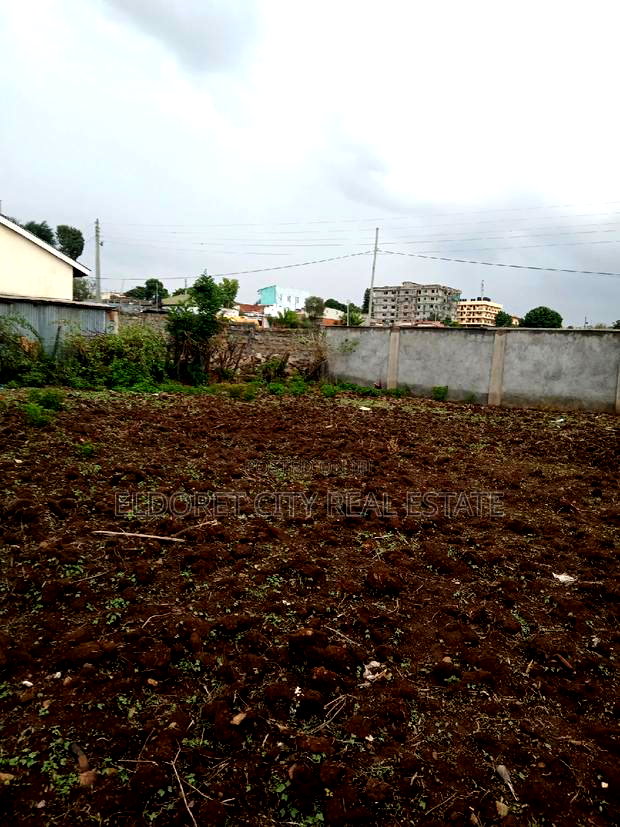 1/4 Plot West Indies With Title