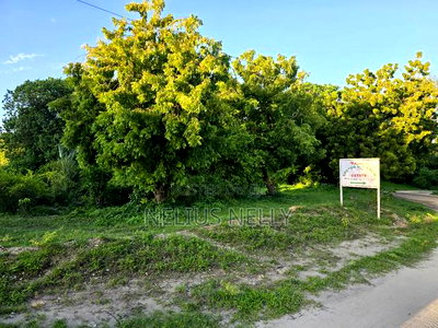 Kikambala 2nd Row From Beach 12.5 Acres for Sale - Image 3