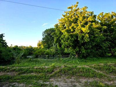 Kikambala 2nd Row From Beach 12.5 Acres for Sale - Image 4