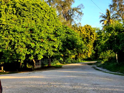 Kikambala 2nd Row From Beach 12.5 Acres for Sale - Image 5