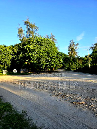 Kikambala 2nd Row From Beach 12.5 Acres for Sale - Image 2