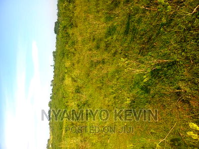 Gem Nyagondo Near Malunga Secondary School - Image 7