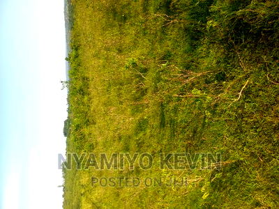 Gem Nyagondo Near Malunga Secondary School - Image 6