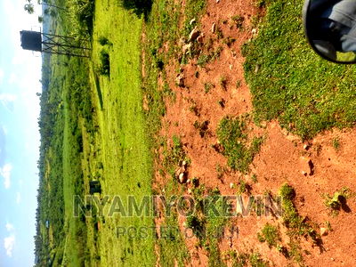 Gem Nyagondo Near Malunga Secondary School - Image 5