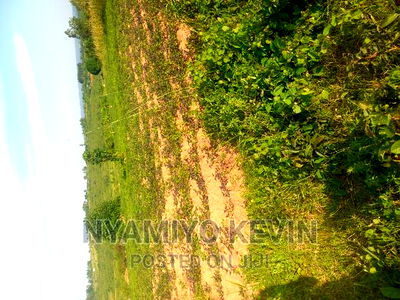 Gem Nyagondo Near Malunga Secondary School - Image 4