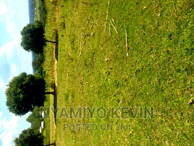 Gem Nyagondo Near Malunga Secondary School - Image 8