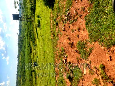 Gem Nyagondo Near Malunga Secondary School - Image 3