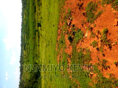 Gem Nyagondo Near Malunga Secondary School - Image 2