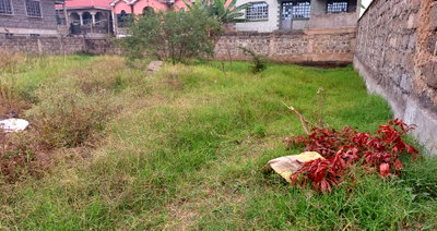 50x100 Plot with Garden in Membley Estate