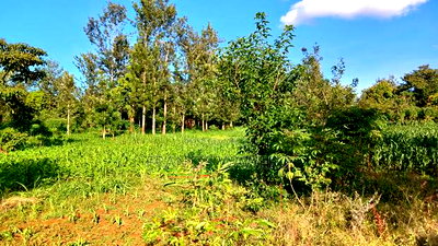 2 Acres for Sale in Sabasaba, Maragua. - Image 9