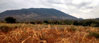 Embu County, Kiambere 6 Acres Agricultural Farm - Image 7