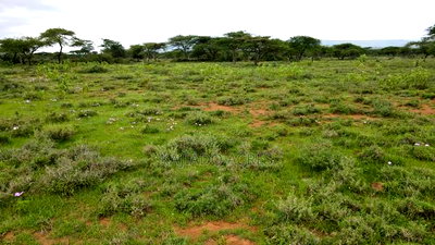 Prime 2 Acres Touching Ewuaso-Najile Road - Image 4