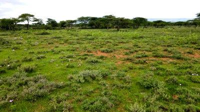 Prime 2 Acres Touching Ewuaso-Najile Road - Image 5