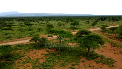 Prime 2 Acres Touching Ewuaso-Najile Road - Image 7