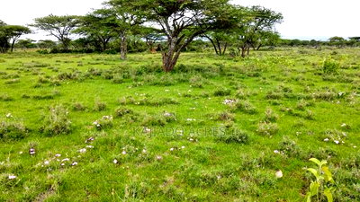Prime 2 Acres Touching Ewuaso-Najile Road - Image 1