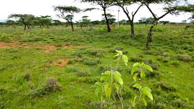 Prime 2 Acres Touching Ewuaso-Najile Road - Image 3