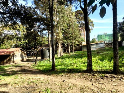 Commercial Half Acre Plot for Sale in Ngong, Matasia Touching Tarmac - Image 2