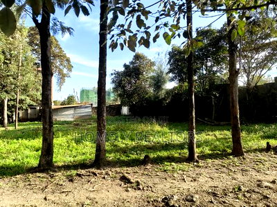 Commercial Half Acre Plot for Sale in Ngong, Matasia Touching Tarmac - Image 3