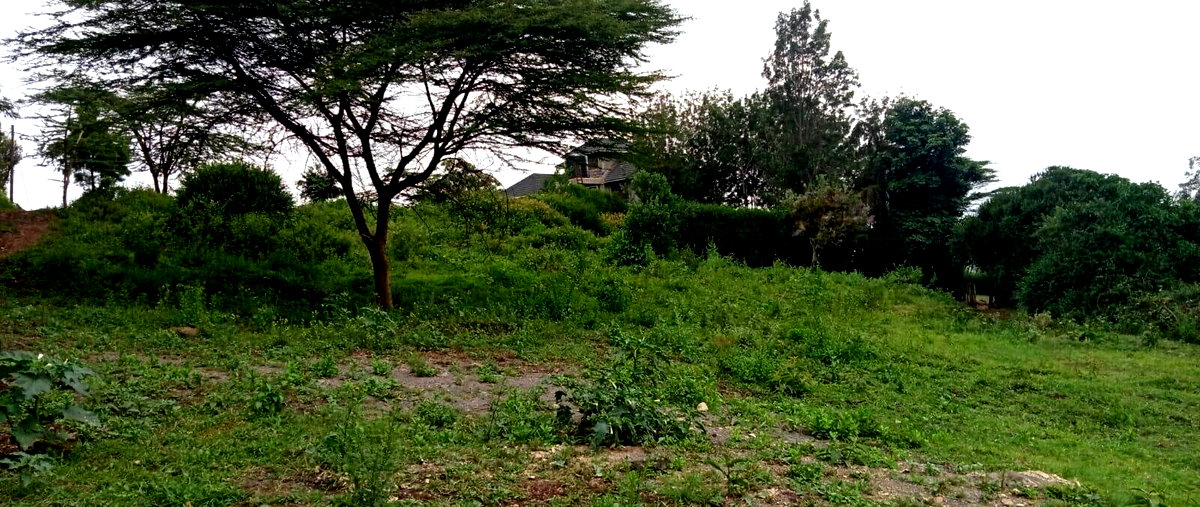 Quarter Acre Plot at KSh 5.5M