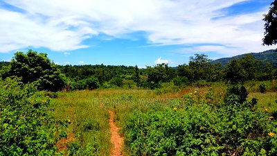 2.5 Acres on Quick Sale in Murang'a at 5m(Whole) - Image 5