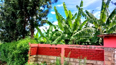 2.5 Acres on Quick Sale in Murang'a at 5m(Whole) - Image 4