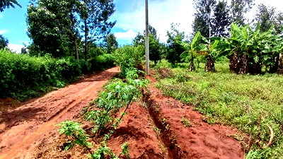 2.5 Acres on Quick Sale in Murang'a at 5m(Whole) - Image 3