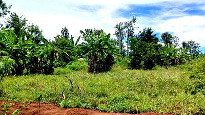 2.5 Acres on Quick Sale in Murang'a at 5m(Whole) - Image 8
